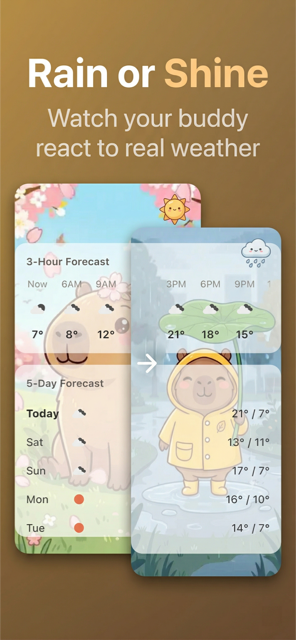 Weather Capy - Forecast and widget preview